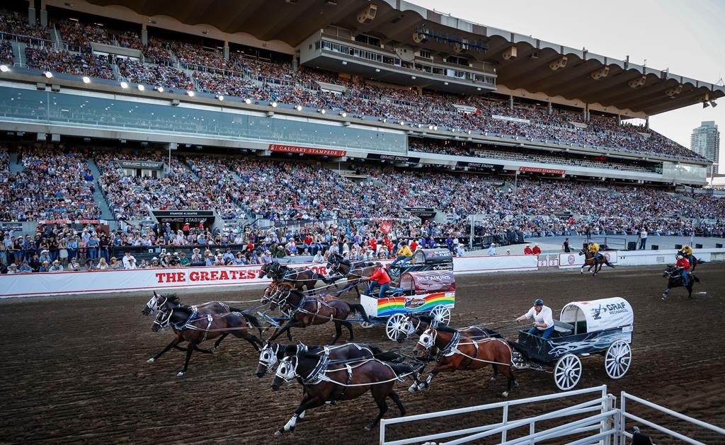Кон участващ в Calgary Stampede беше евтаназиран в събота вечерта