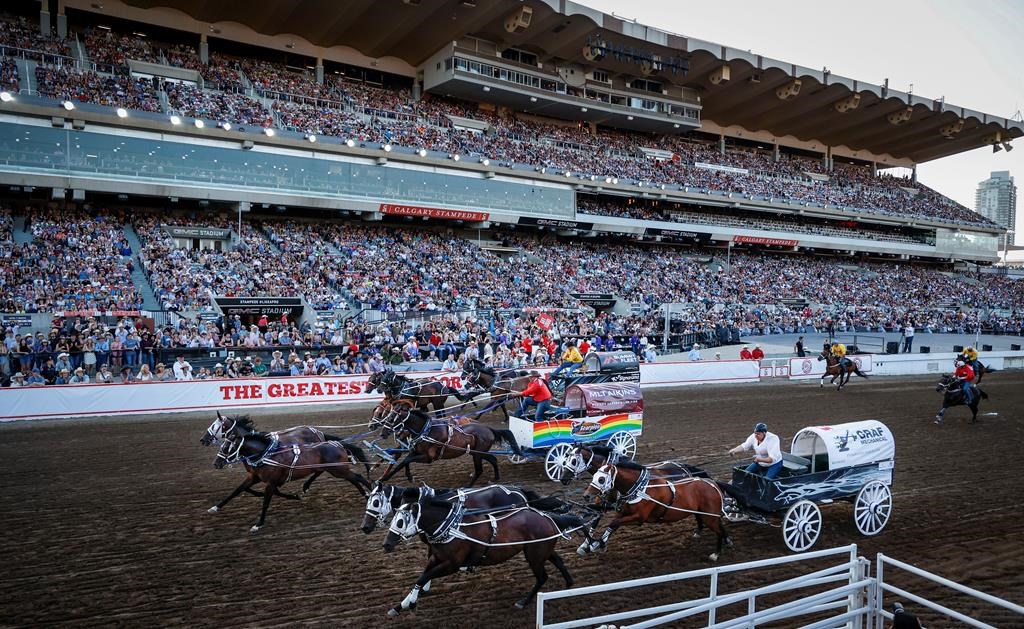 Veterinarians euthanize 3rd horse following Calgary Stampede injuries