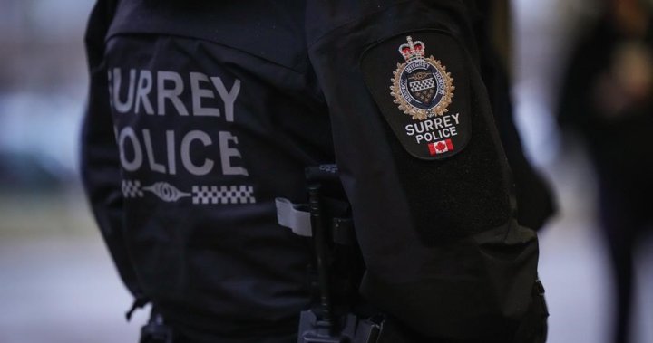 Решението на полицията в Съри се очаква да бъде обявено от B.C. правителство