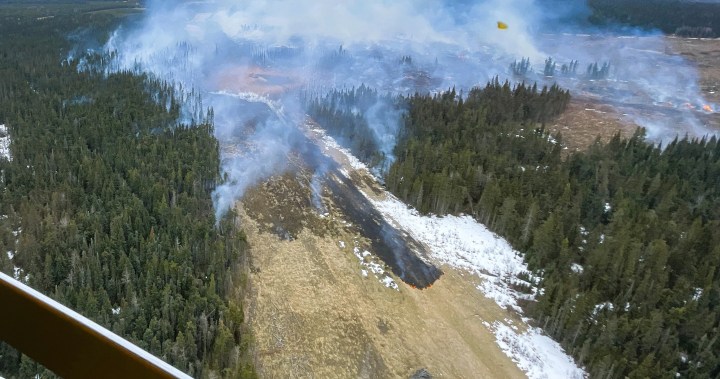 Разследването на спукания тръбопровод в окръг Йелоухед е в ход, тъй като горският пожар е овладян