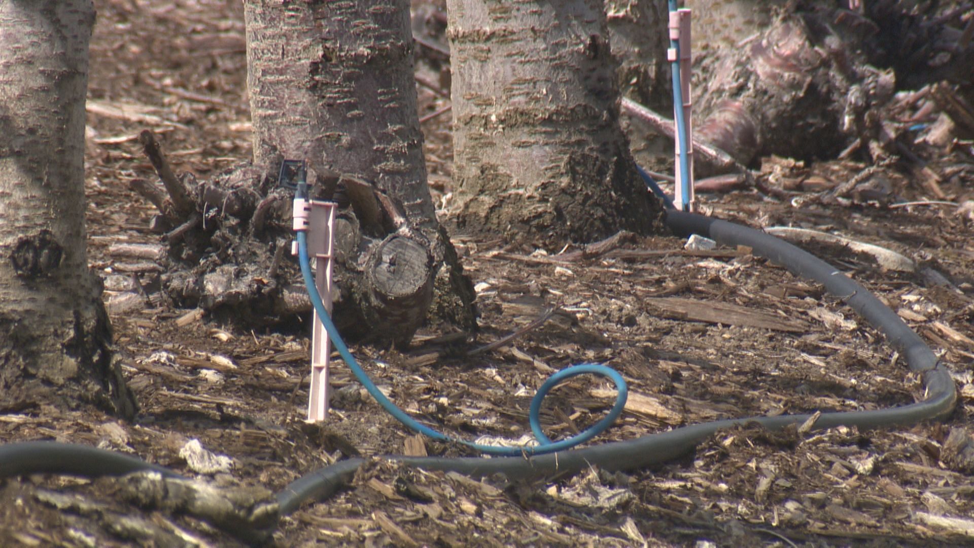 На фона на нарастващата загриженост за продължаващите условия на засушаване