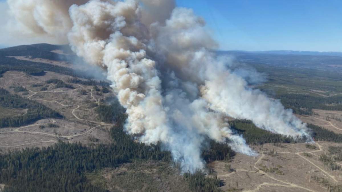 The Burgess Creek wildfire is burning out of control and is an estimated 1,600 hectares.