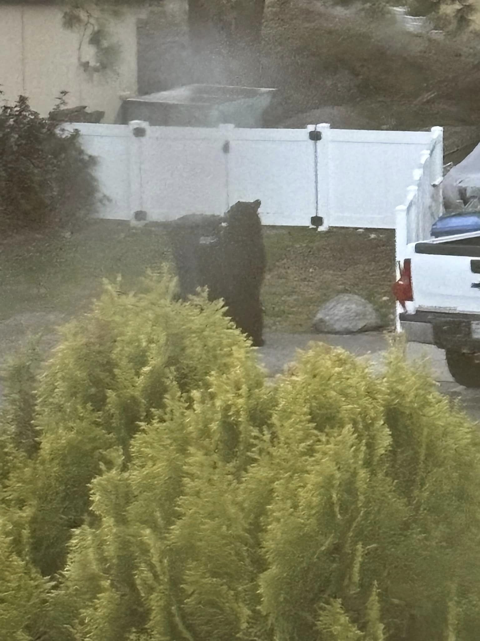 Жителка на Summerland Британска Колумбия каза че е била шокирана