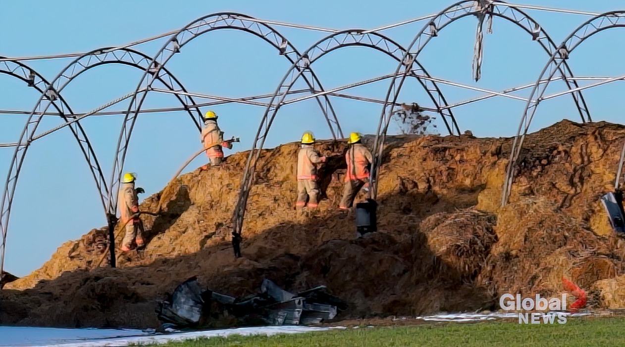 Не се съобщава за наранявания или засегнати животни след голям