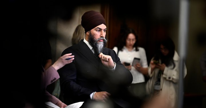 Singh mulls TikTok return as U.S. nears potential ban over security fears – National | Globalnews.ca