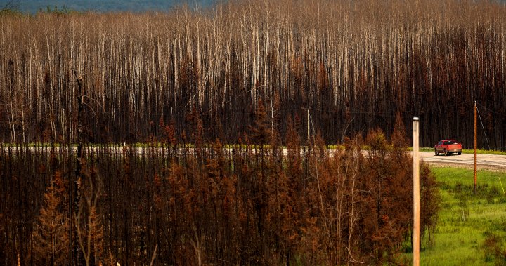 Рекордният сезон на горски пожари в Канада през 2023 г