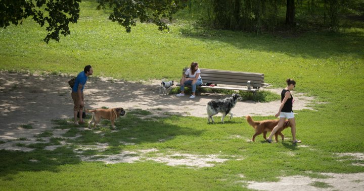 Собствениците на опасни кучета в Торонто ще имат нови правила
