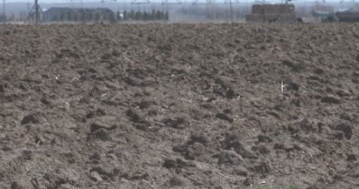 Фермерите от Алберта се адаптират към нарастващите проблеми със сушата в провинцията