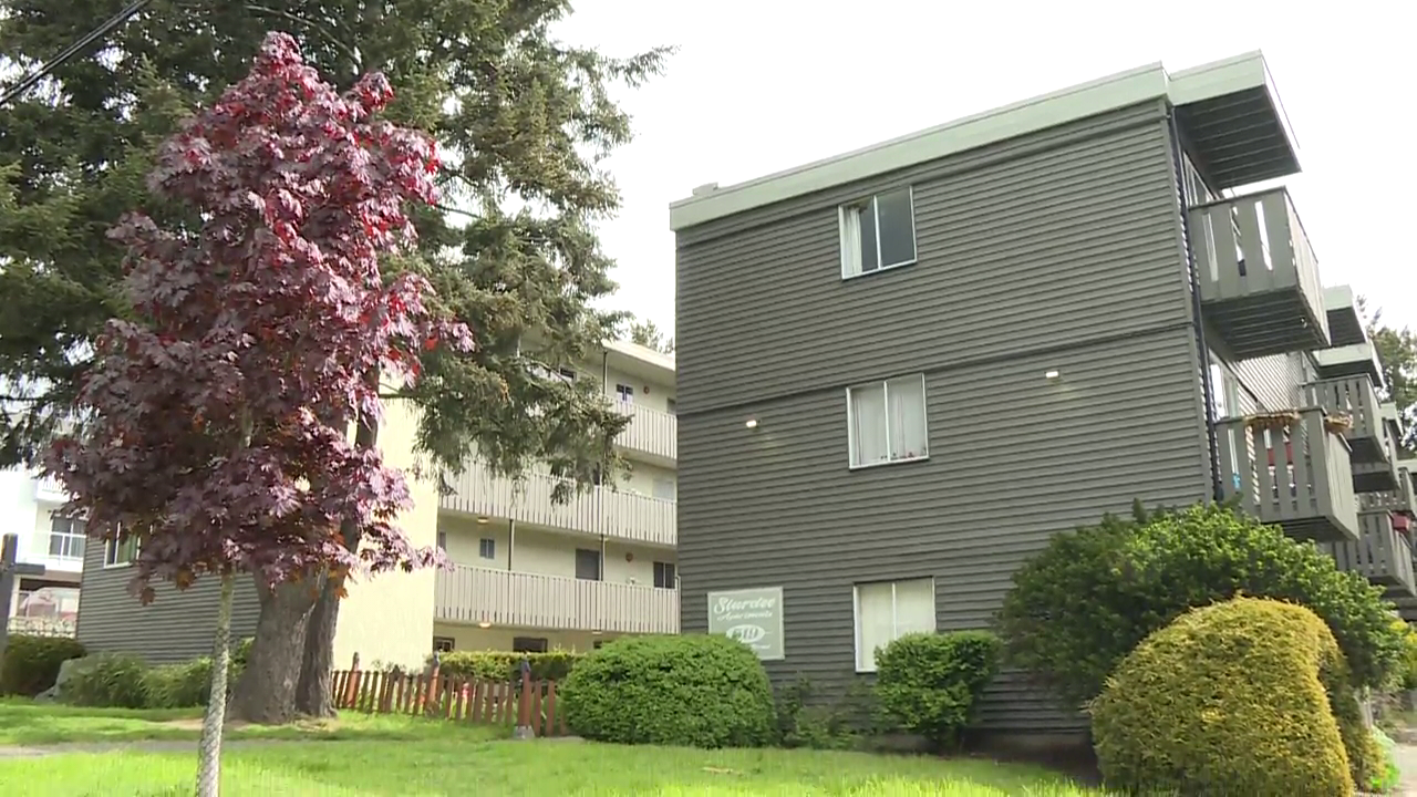 Tenants facing displacement from B.C. apartment say ‘renoviction’
protections not working