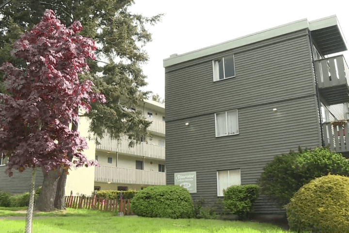 Tenants facing displacement from B.C. apartment say ‘renoviction’ protections not working