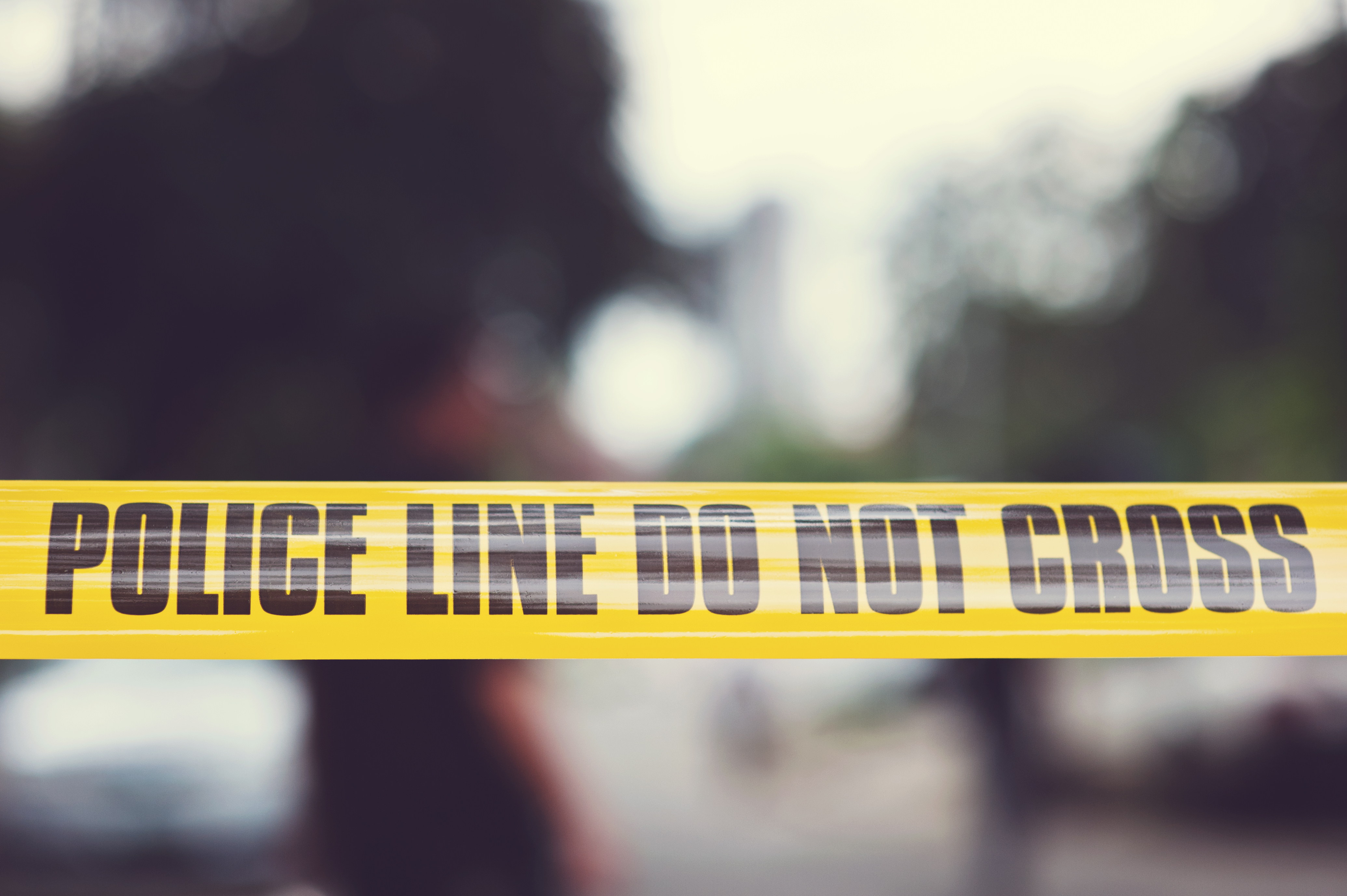 Полицията в Айдахо каза че 85 годишна жена е показала героизъм