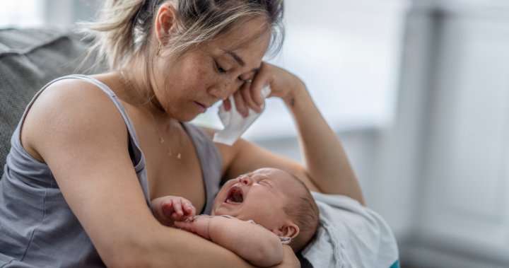 Canadian researchers create natural supplement to combat postpartum blues