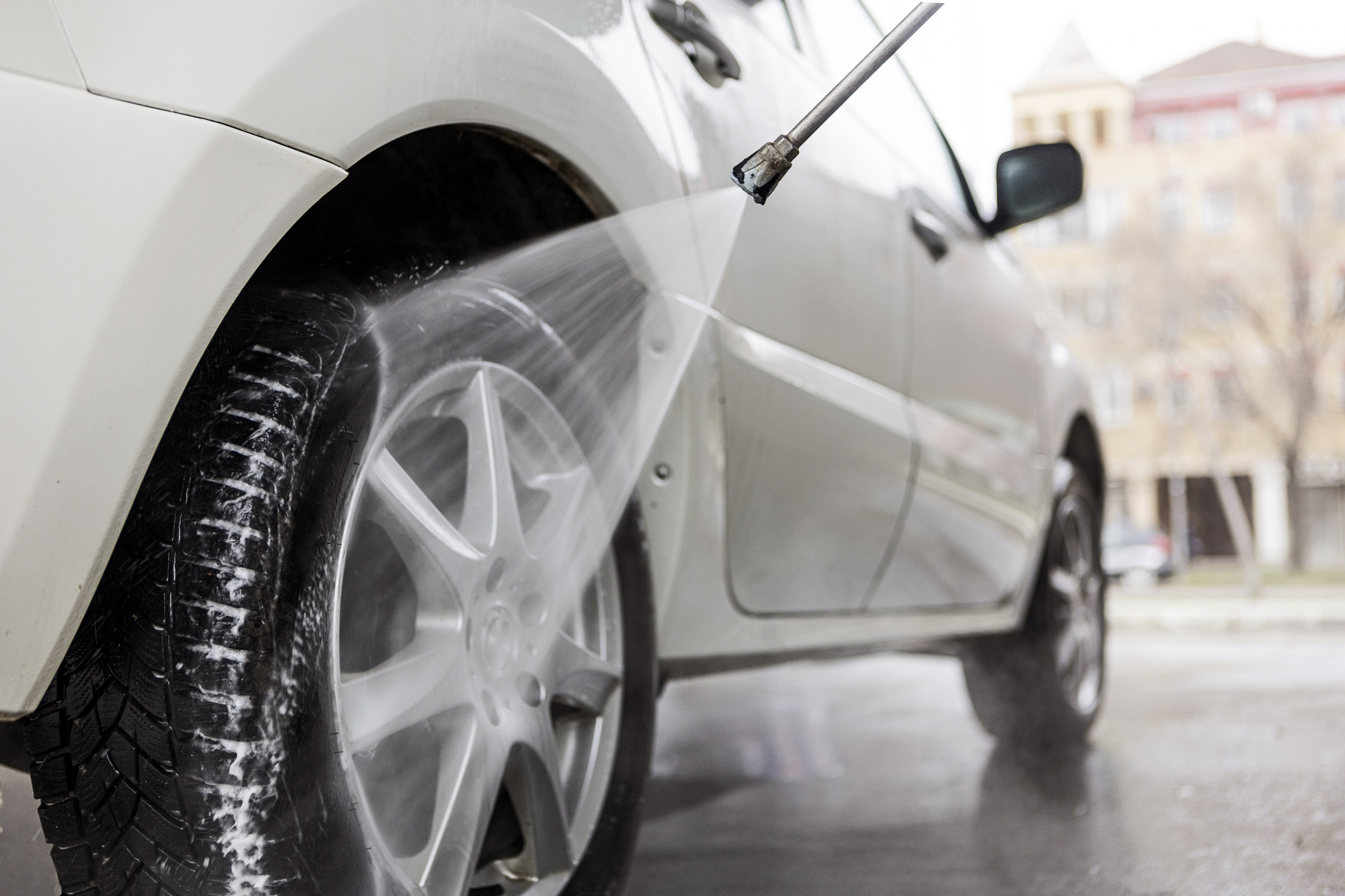 Кураторът самостоятелно решава какви теми и продукти представяме Когато закупите