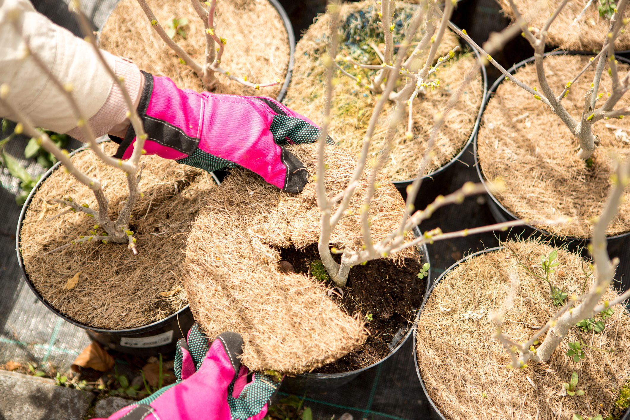 Кураторът самостоятелно решава какви теми и продукти представяме Когато закупите
