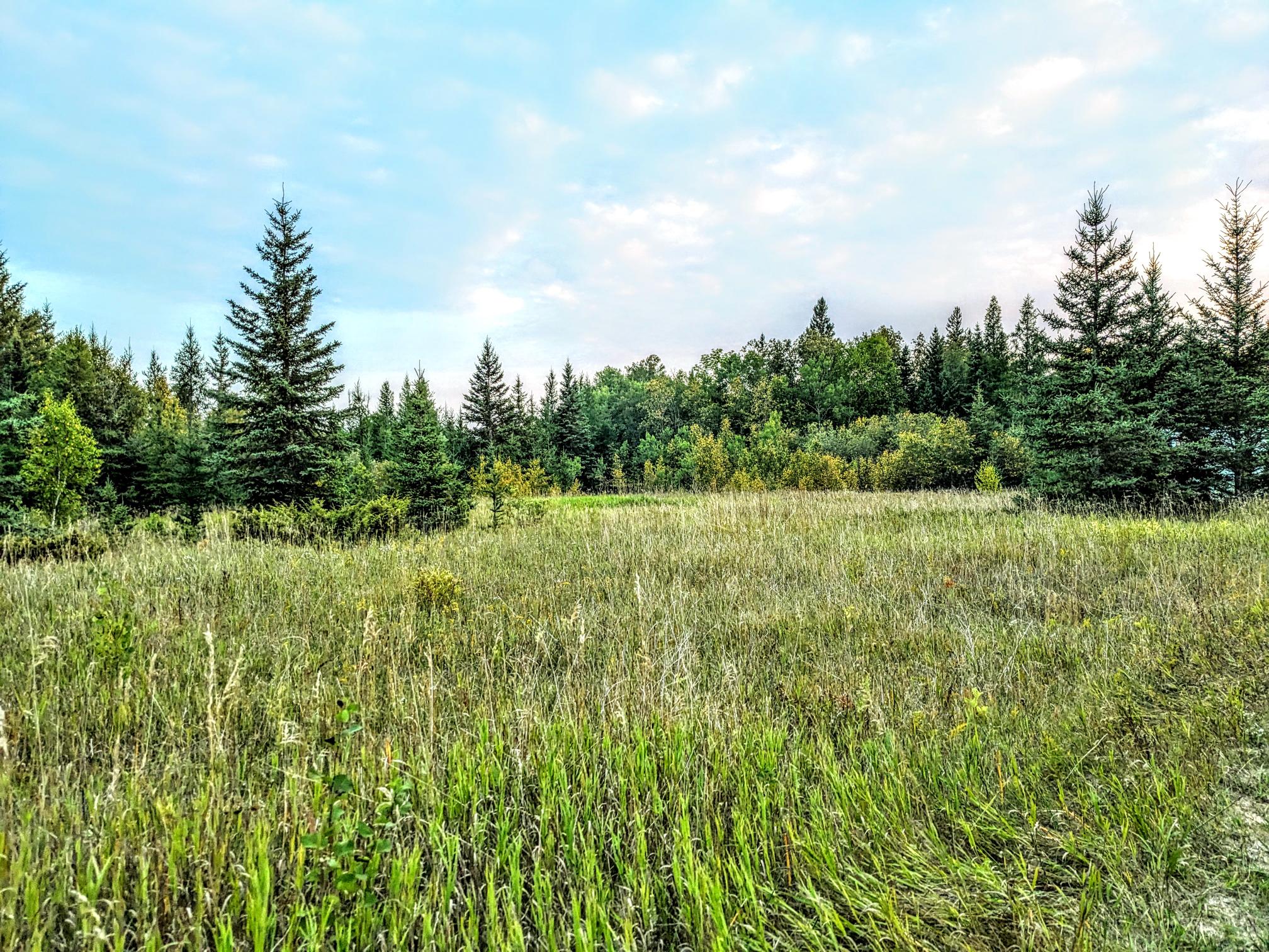 Green Cemetery Project Winnipeg aims to make death more environmentally friendly in Manitoba