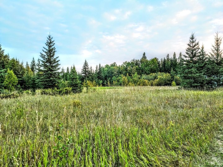 Green Cemetery Project Winnipeg aims to make death more environmentally ...