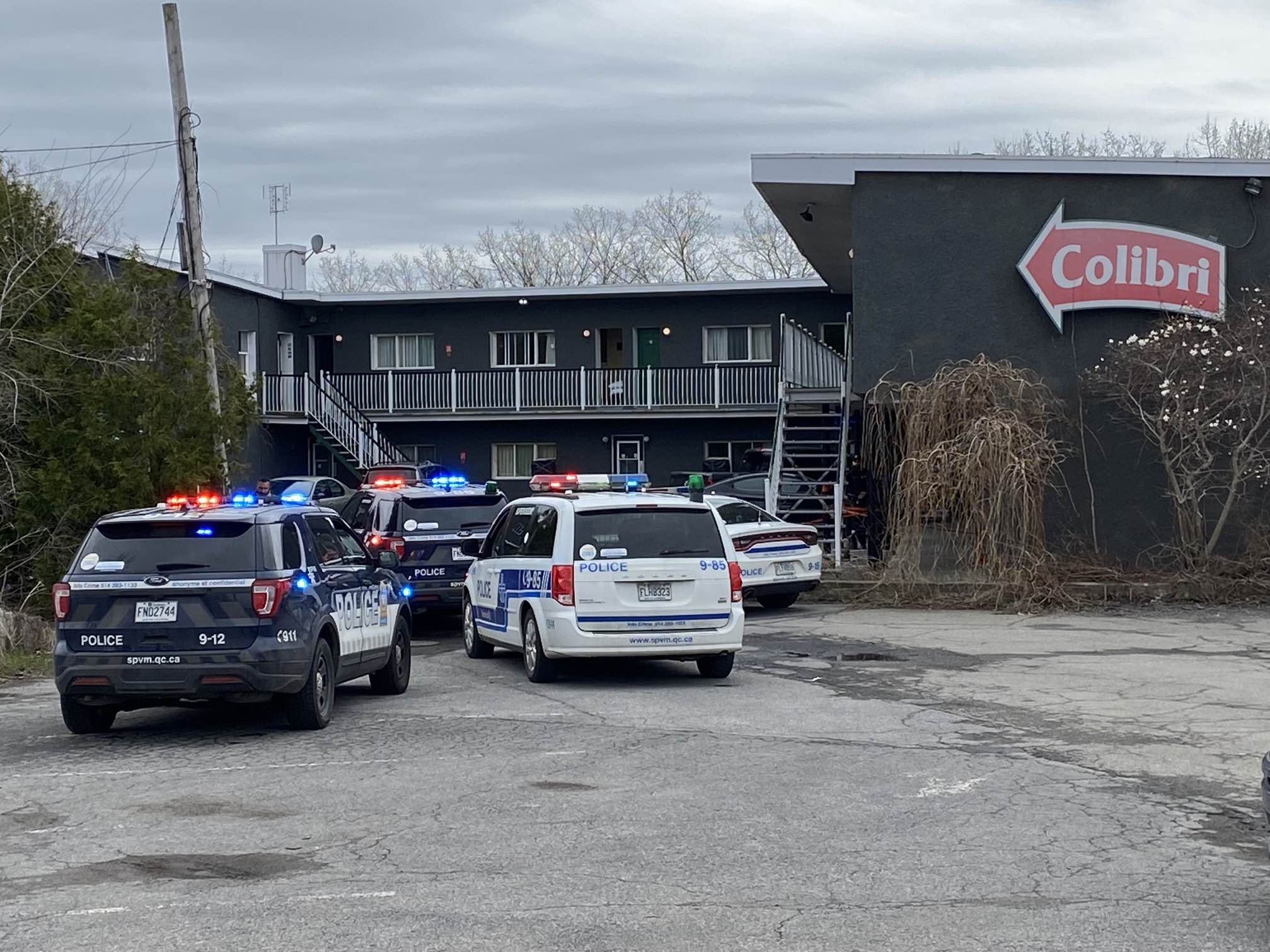 Полицията в Монреал съобщи че издирва заподозрян след като жена