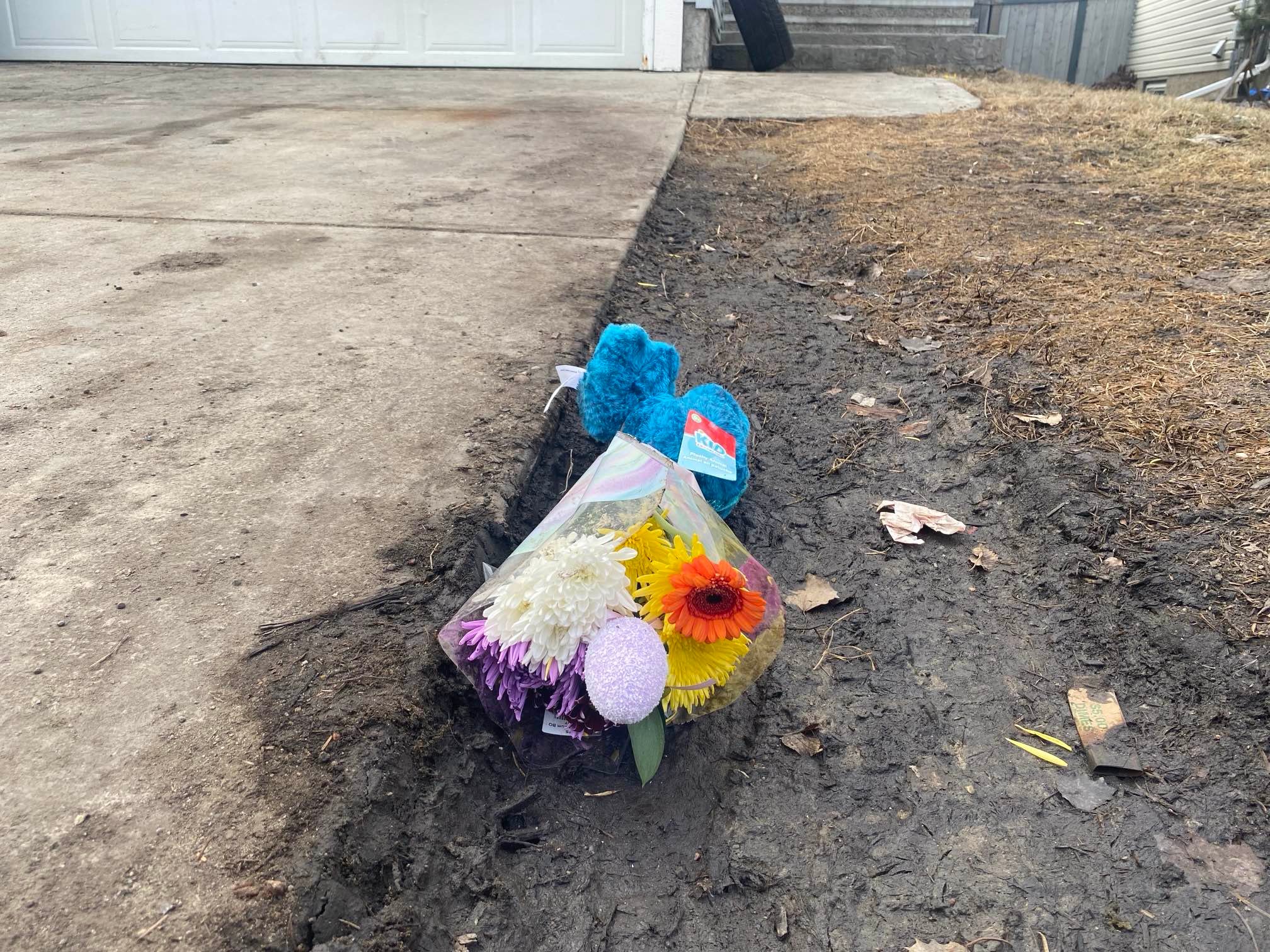 B.C. boy identified as victim of fatal Edmonton dog attack - Vimarsana News