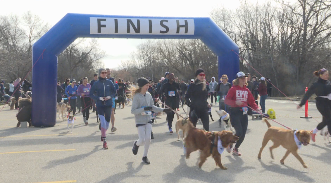 With aims of supporting the cause and work of K9 Advocacy, Manitoba Marathon Foundation held its 5th Annual Fast & Furry fun run.