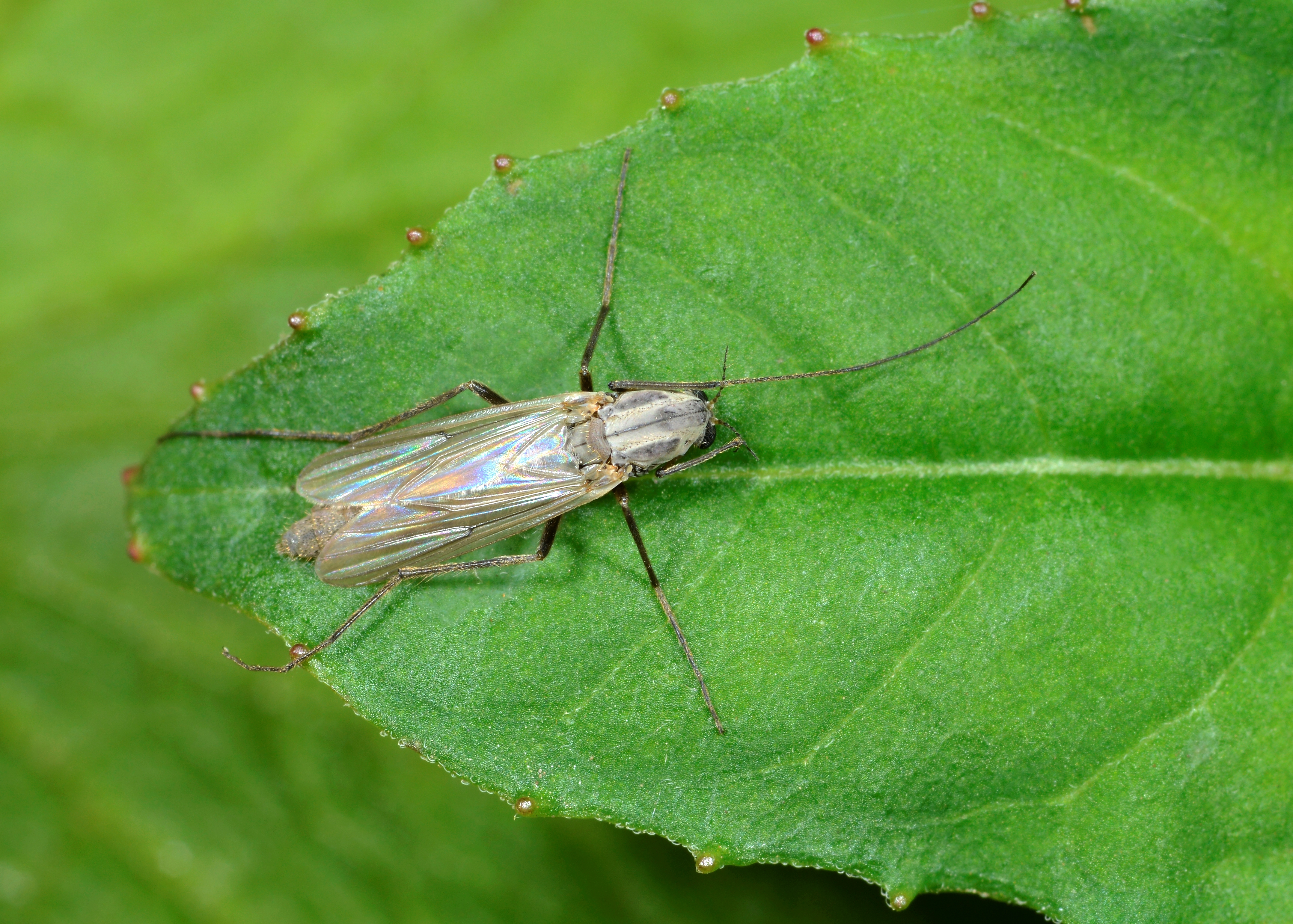 Тъй като пролетта е в пълна сила и предстоят по топли