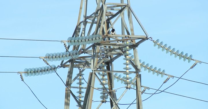 Провинция разкрива план за защита на жителите на Алберта от колебания в цените на електроенергията