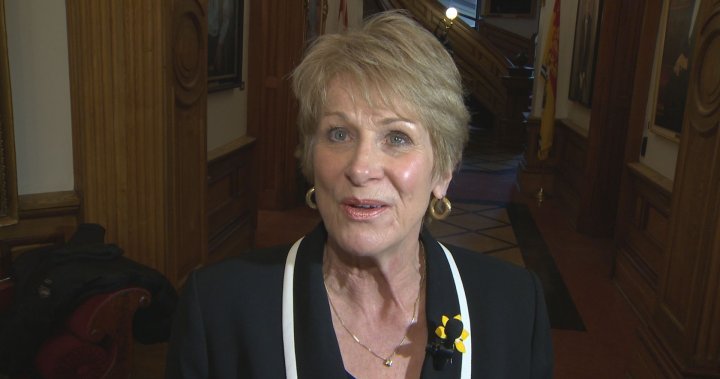 ‘More time is required’: New Brunswick legislature to delay forced rehab bill