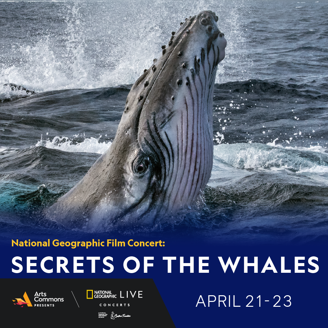National Geographic Film Concert: Secrets of the Whales - image