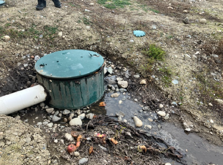 Fruit packing company in Kelowna, B.C., fined 78K for effluent