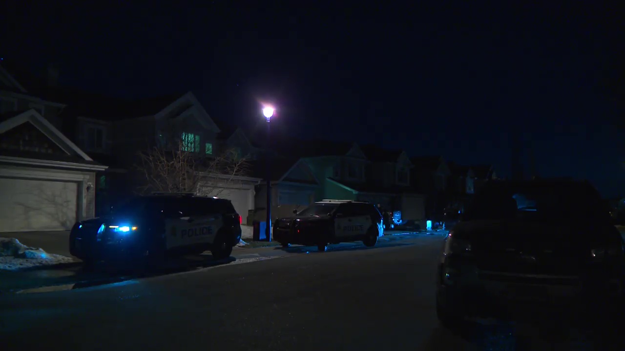 11 годишно момче беше убито при нападение от куче точно в