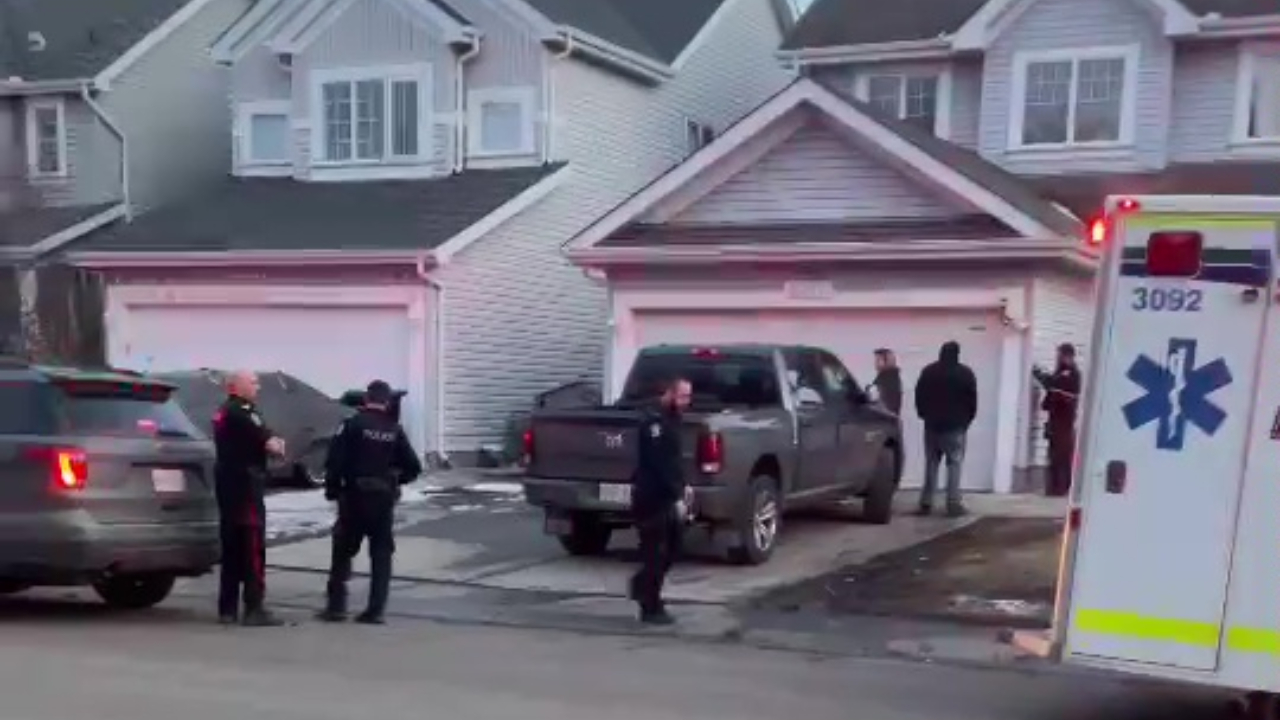 Woman Attacked By Dogs 2 Months Before Boy Killed In Edmonton: ‘shredded In Every Direction’ - Beritaja