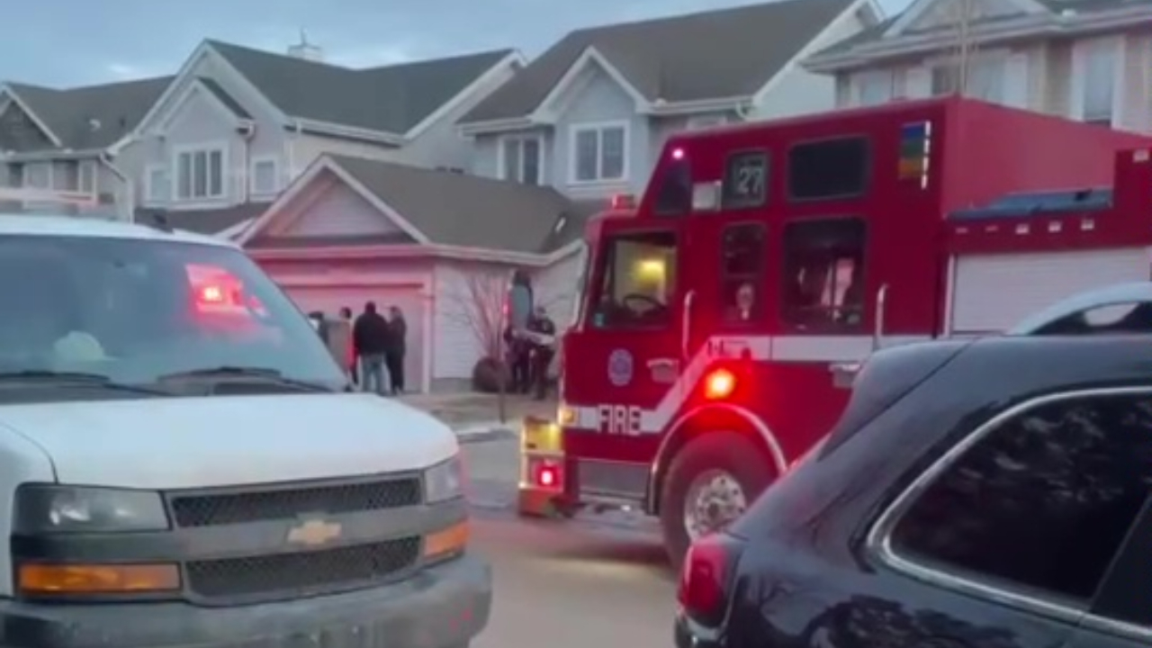 Court Hears Of Prior Grisly Dog Attack At Trial Over Death Of 11-year-old Boy In Summerside - Beritaja