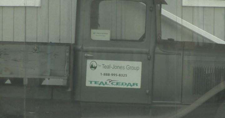Горската компания Teal Jones подава документи за защита на кредиторите в Британска Колумбия