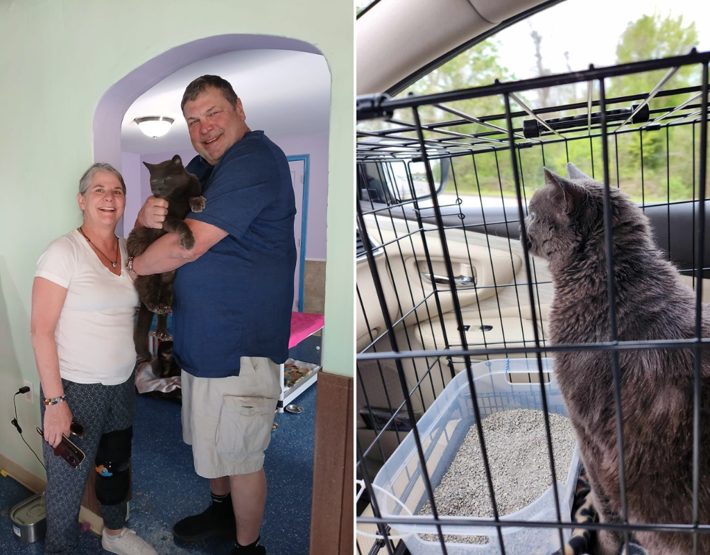 Split screen image of a dark grey cat sitting in a crate in a car (R) and the same cat being held by a man, posing with a woman.
