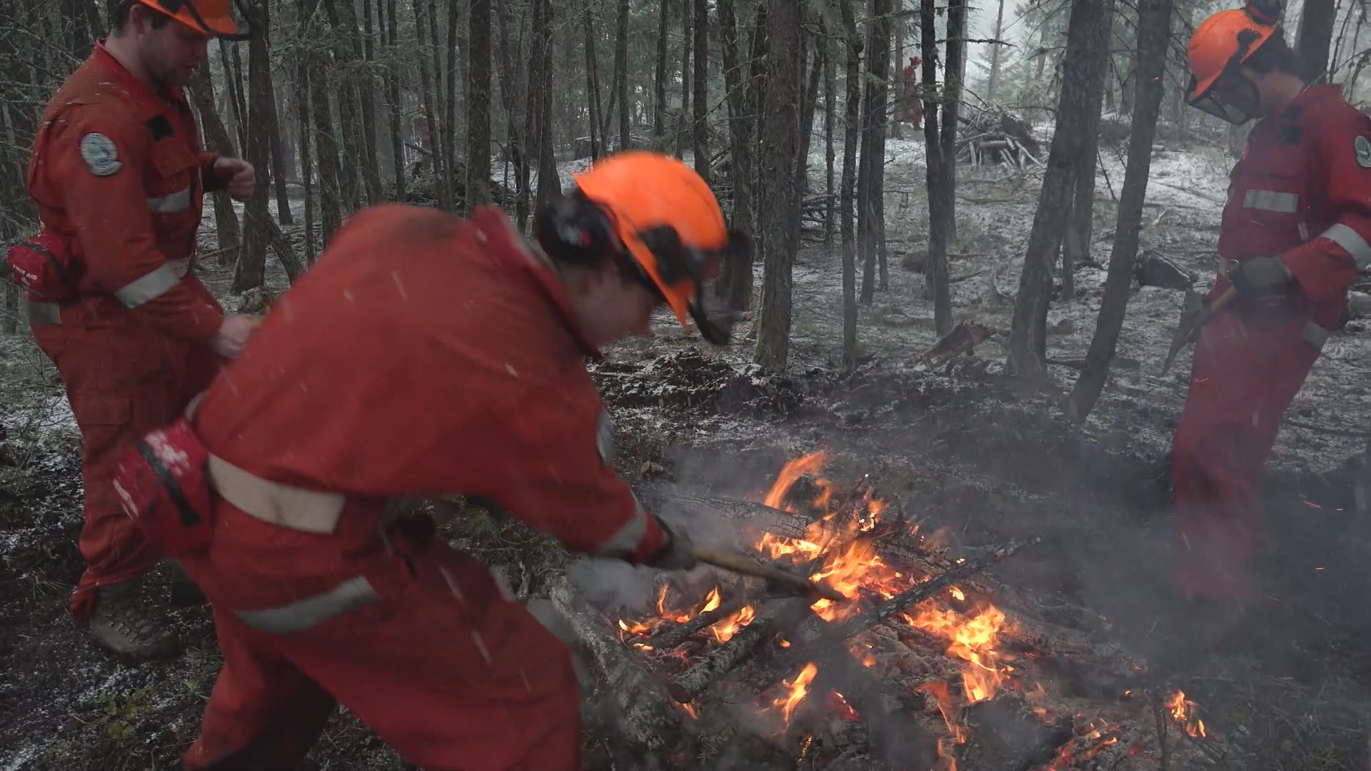 В планините над Мерит Британска Колумбия следващата реколта от диви