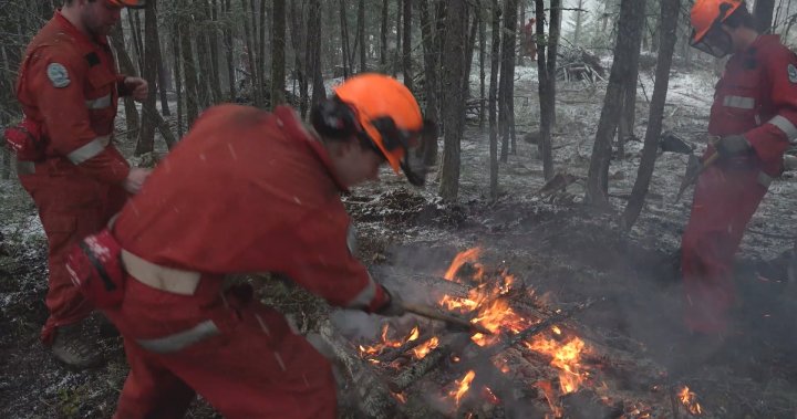 „Дойдох за упорита работа и го намерих“: Bootcamp е в ход за новобранци от Службата за диви пожари в Британска Колумбия