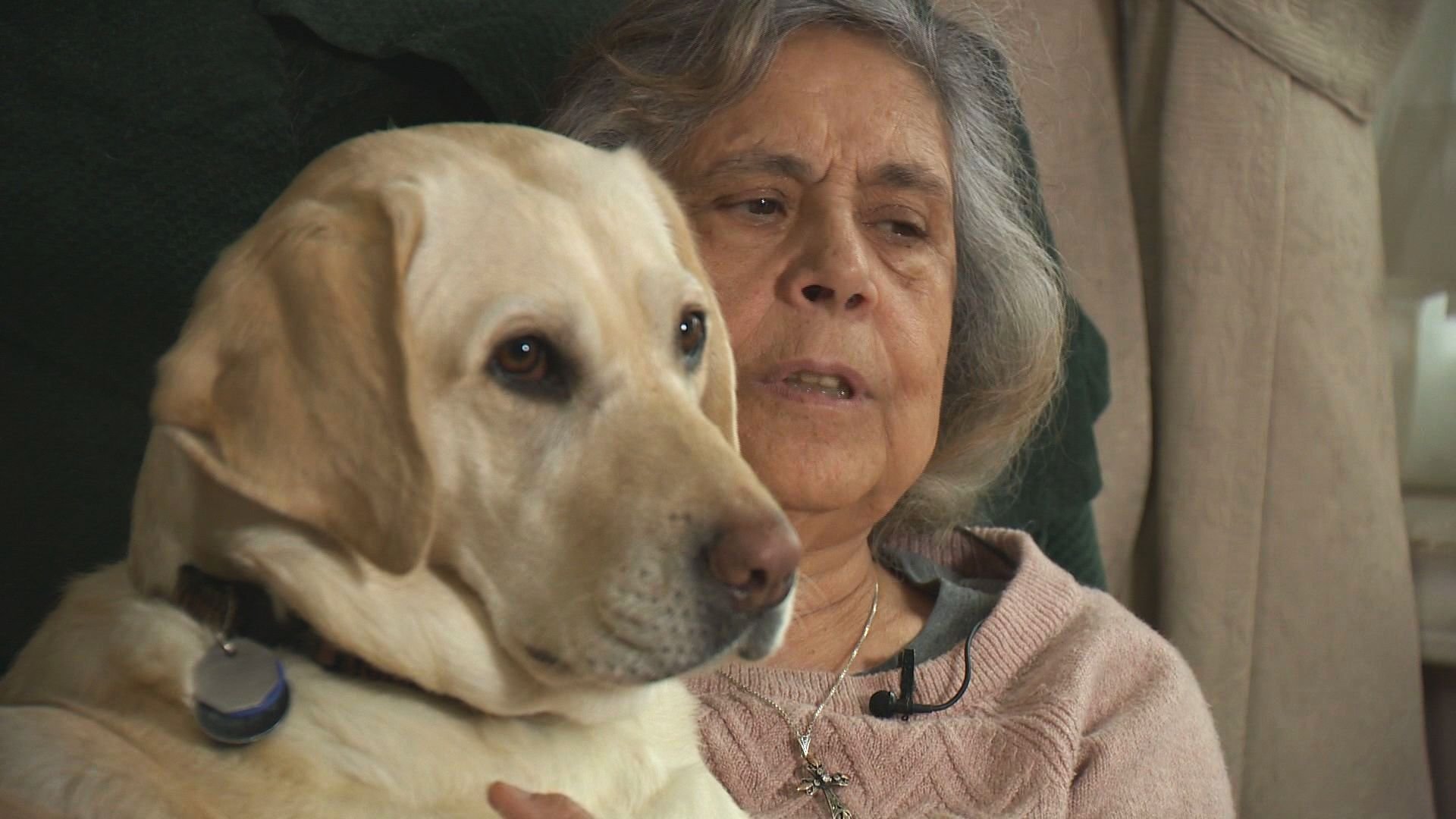 'Hurts like hell': B.C. blind woman says a taxi refused her service due to her guide dog - BC - Vimarsana News