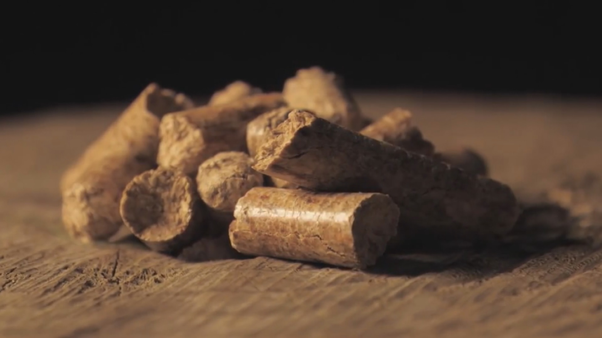 Нов доклад твърди че нарастваща част от B C горите се