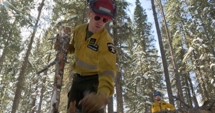 Calgary Fire District launches expanded team of wildland firefighters for 2024 season