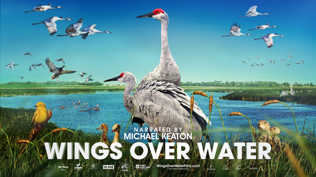 Theatrical Screening of Wings over Water on Earth Day - image