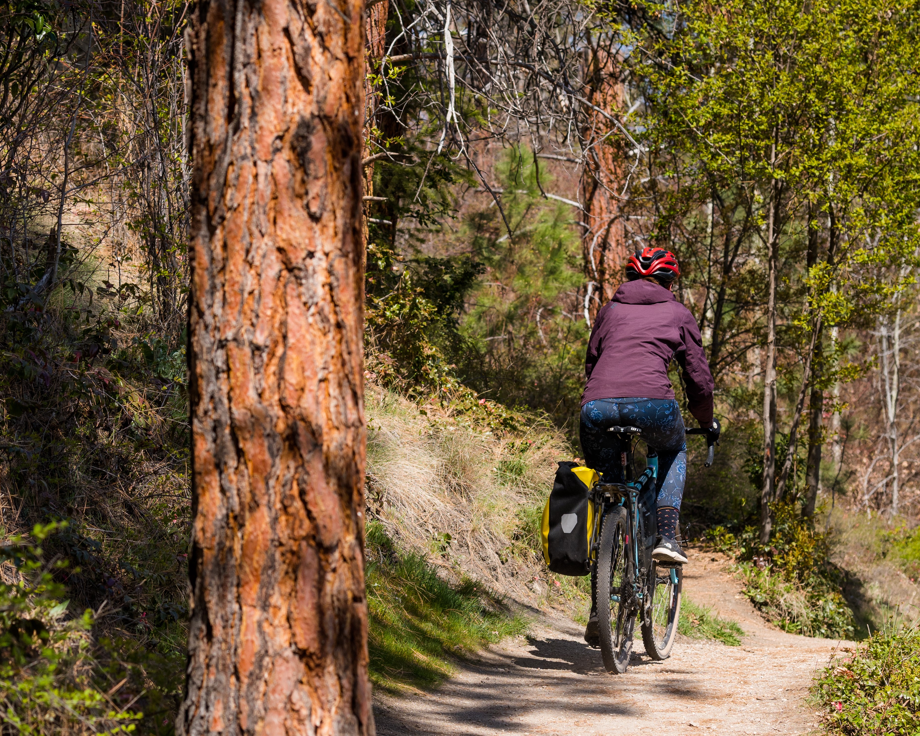 Temporary limited access next week for two Central Okanagan parks