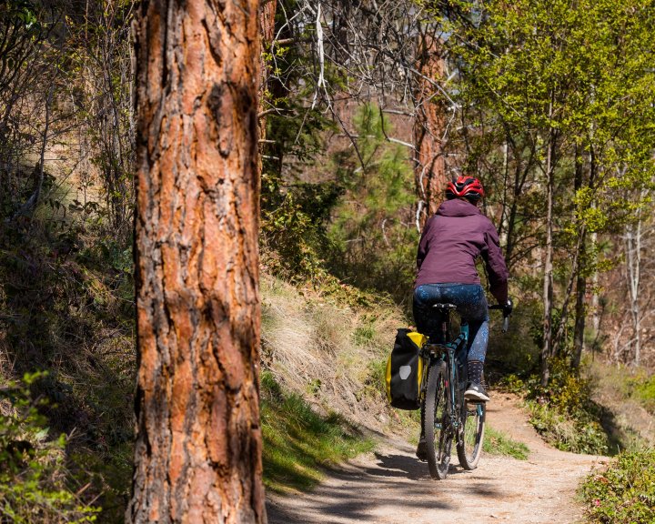 Temporary limited access next week for two Central Okanagan parks ...