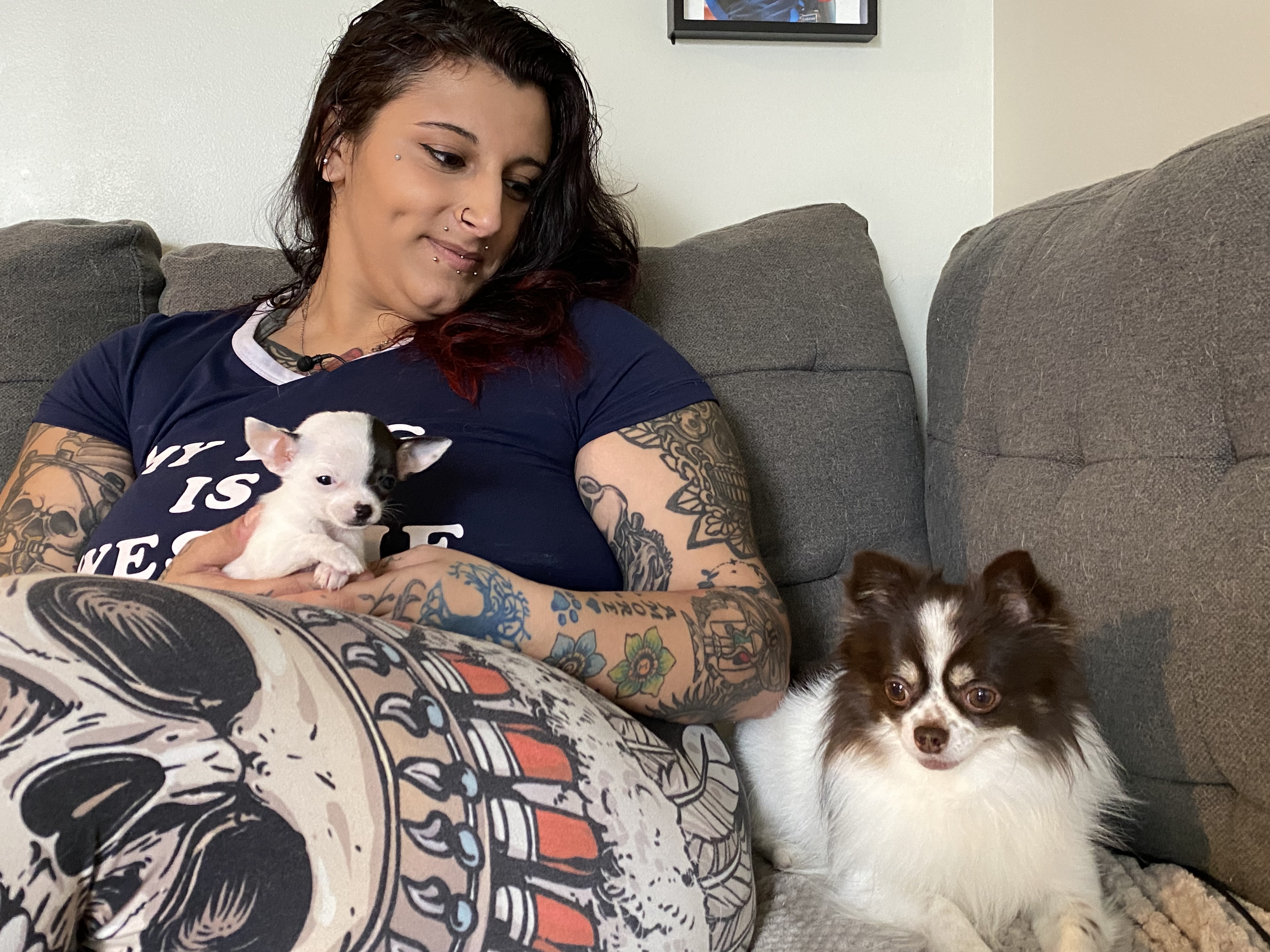 Собственик на куче от Калгари възхвалява напълно непознат за това