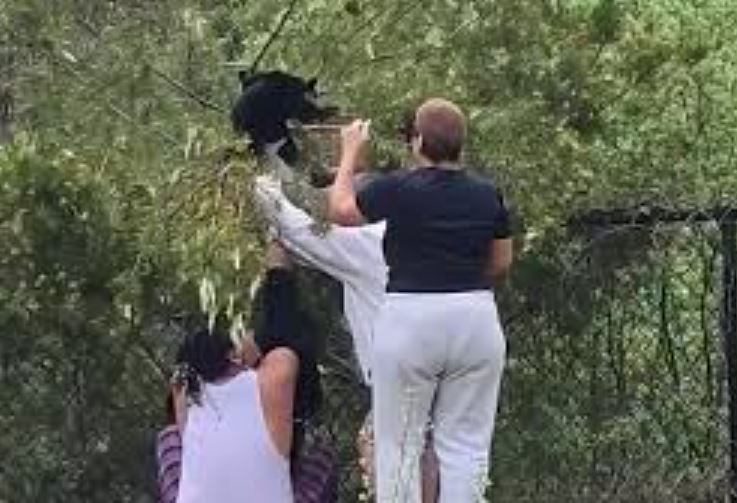 Запишете това под Добър начин да бъдете убит В ход е