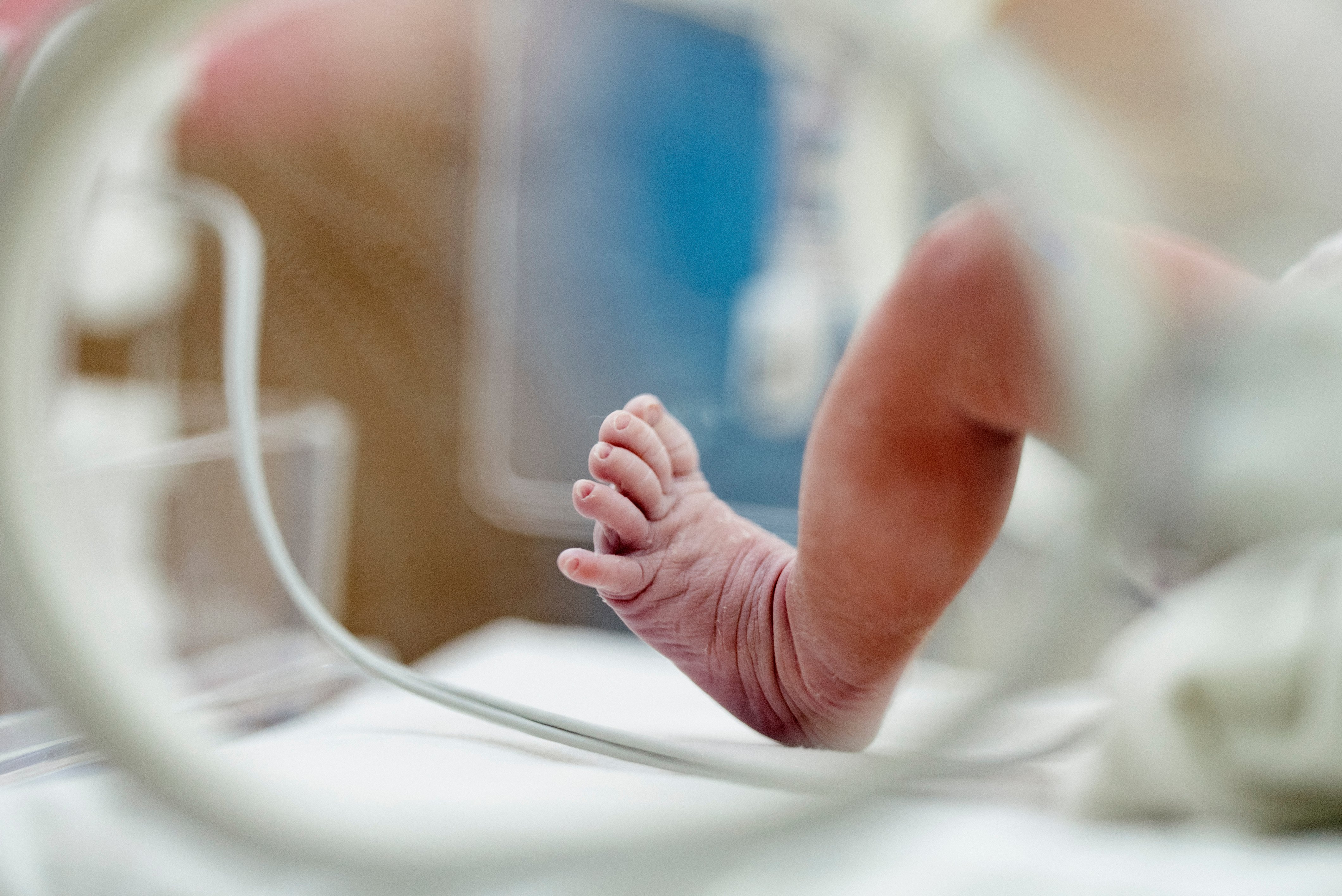 Alberta commits $26M to women's health research, expanding newborn screening program - Vimarsana News