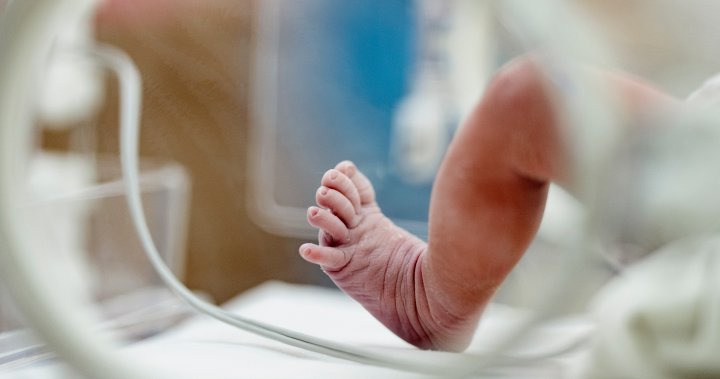 Бебетата на родители имигранти са изложени на по-голям риск от раждане на мъртво дете: Канадско проучване