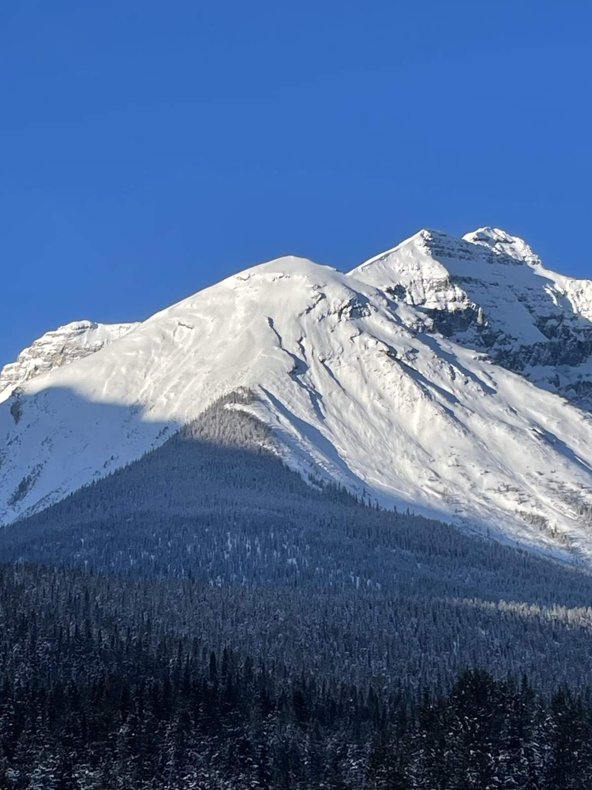 Long range view of Cathedral Mountain with the avalanche crown visible above the trees on the shoulder.