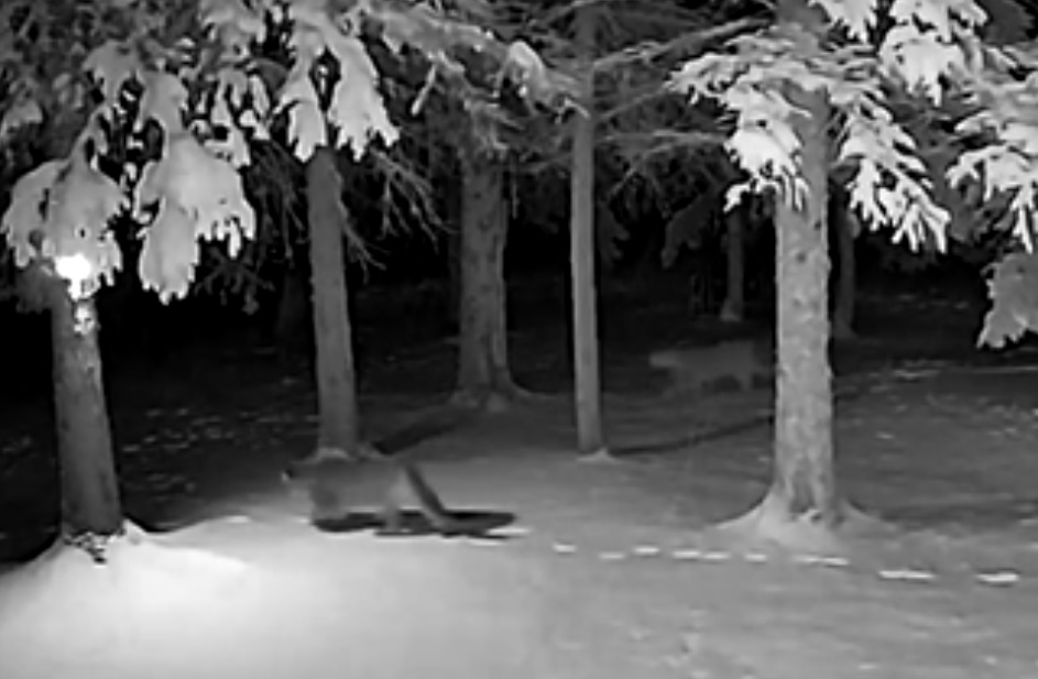 Кевин Дейвис казва че е чувал историите от съседи за