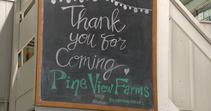 Ферма и месопреработвател в Саскачеван затварят врати във вторник след