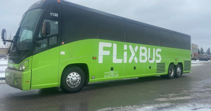 Автобусната компания на Алберта търси помощ от правителството, тъй като европейският превозвач стартира в Алберта