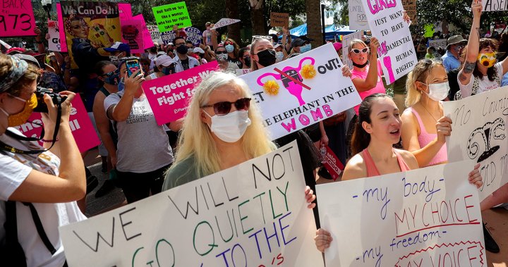 Florida abortion ban upheld by court, but voters will soon have a say